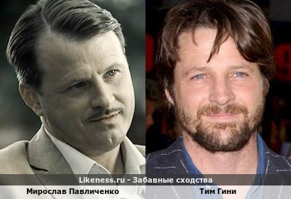Мирослав Павличенко похож на Тима Гини
