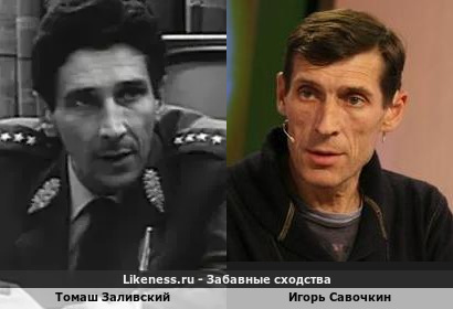 Томаш Заливский похож на Игоря Савочкина