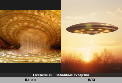 Срез банана под микроскопом напоминает НЛО