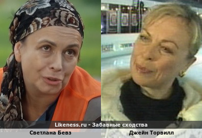 Светлана Бевз похож на Джейн Торвилл