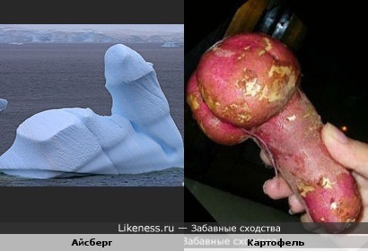 Айсберг похож на картофель...
