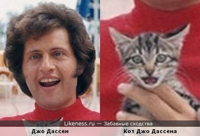 Джо Дассен и его кот)))