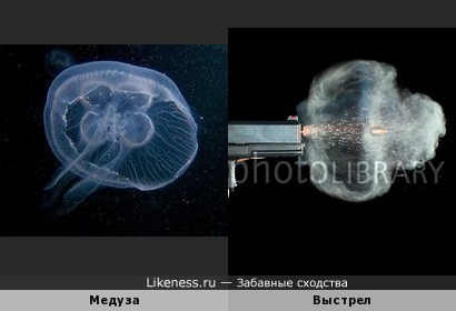 Макросъёмка выстрела и медуза