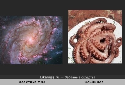 Спиральная галактика с перемычкой M83, также известная как Южная Вертушка, и осьминог