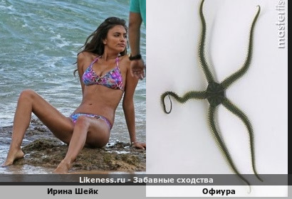 Ирина Шейк напоминает офиуру