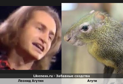 И снова говорящая фамилия