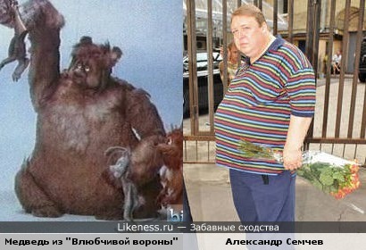 Медведь из м/ф &quot;Влюбчивая ворона&quot; и Александр Семчев похожи