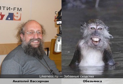 Анатолий Вассерман и обезьянка