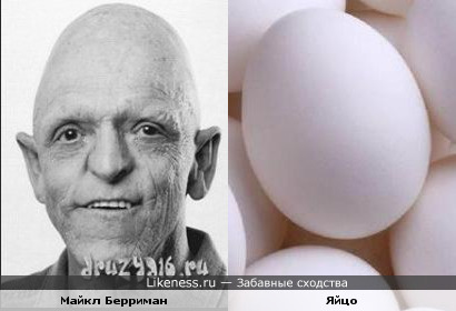 Майкл Берриман похож на яйцо