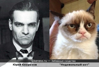 Юрий Валентинович, мы нашли вашего кота!