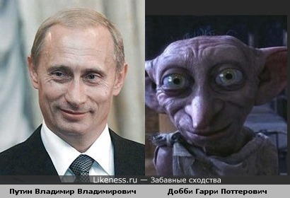 Добби И Путин Сравнение Фото
