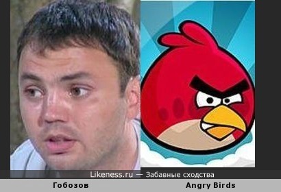 Александр Гобозов и Angry Birds