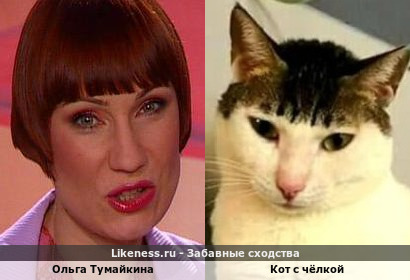 Ольга Тумайкина похожа на Кота с чёлкой