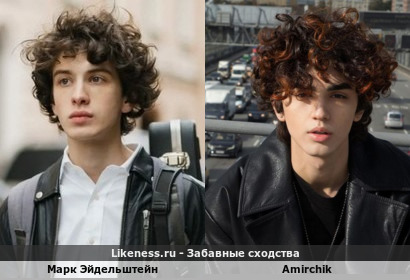 Марк Эйдельштейн и Amirchik напоминают друг друга
