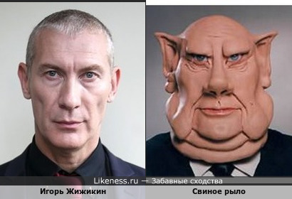 Человек в маске Свиньи похож на Игоря Жижикина