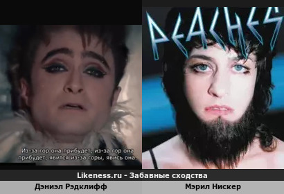 Дэниэл Рэдклифф похож на Меррил Нискер