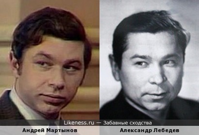 Андрей Мартынов и Александр Лебедев похожи