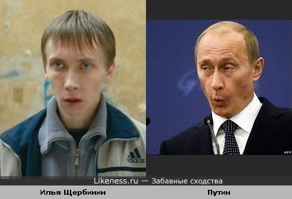 Илья Щербинин похож на Путина