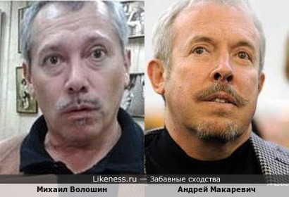 Михаил Волошин похож на Андрея Макаревича