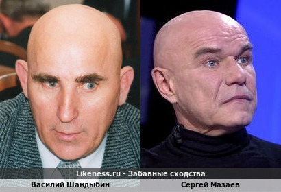 Василий Шандыбин похож на Сергея Мазаева