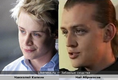 Макколей Калкин похож на Мая Абрикосова