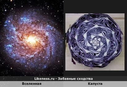 Вселенная напоминает капусту