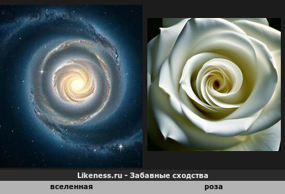 Вселенная напоминает розу