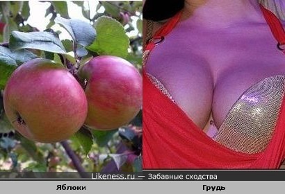 Наливные яблоки