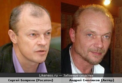 Сергей Бояркин похож на Андрея Смолякова
