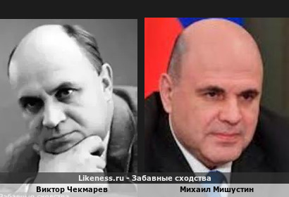 Виктор Чекмарев похож на Михаила Мишустина