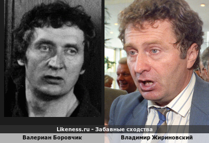 Валериан Боровчик похож на Владимира Жириновского