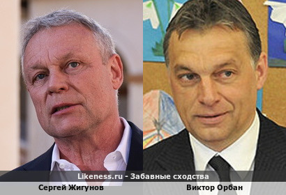 Сергей Жигунов похож на Виктора Орбана