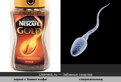 Зерно с банки Nescafe похоже на сперматозоид