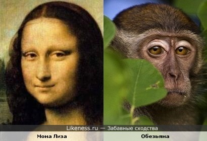 Мона Лиза и грустная обезьянка