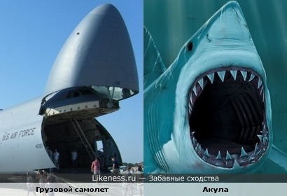 Самолет и акула весьма прожорливы