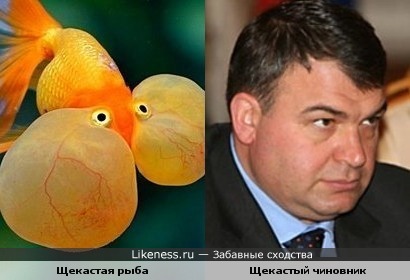 Молчит как рыба)))))))