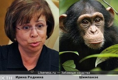 Ирина Роднина и шимпанзе