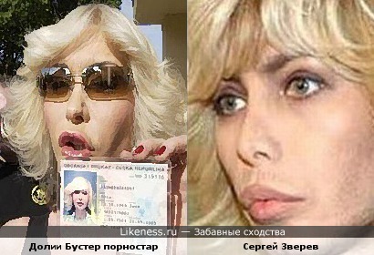Сергей Зверев похож на Долии Бустер (порностар)
