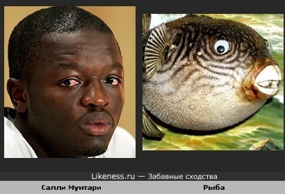 Ганский футболист Салли Мунтари похож на экзотическую рыбу