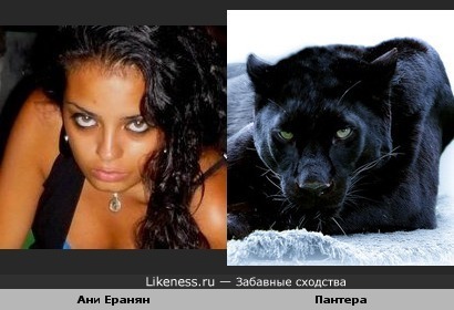 Ани Еранян похожа на пантеру