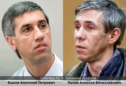 Быков Анатолий Петрович похож на Панина Алексея Вячеславовича