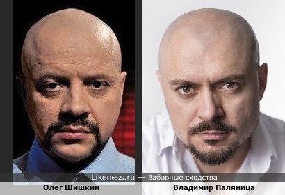 Олег Шишкин похож на Владимира Паляница