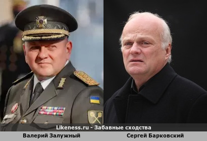 Главнокомандующий Вооруженными силами Украины Валерий Залужный похож на Сергея Барковского