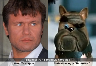 Собака из м/ф "Варежка" (вариант "с голубыми глазами") отдаленно напомнила Олега Тактарова