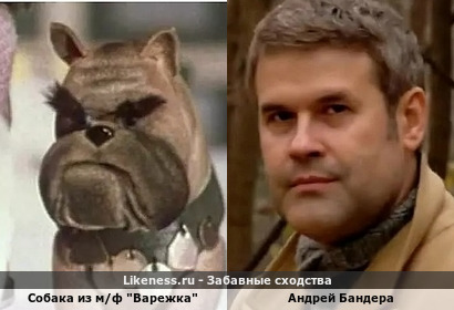 Собака из м/ф "Варежка" (вариант с "приглушенным цветом глаз") отдаленно напомнила Андрея Бандеру (спасибо Avel_287 и Eni007)