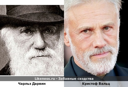 Чарльз Дарвин здесь отдаленно напомнил Кристофа Вальца