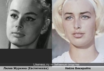 Лилия Журкина и Ниёле Викирайте похожи