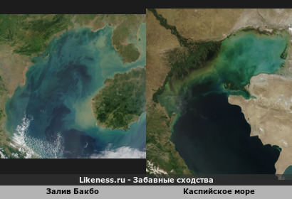 Залив Бакбо, дельта реки Хонгха : Каспийское море, дельта реки Волга