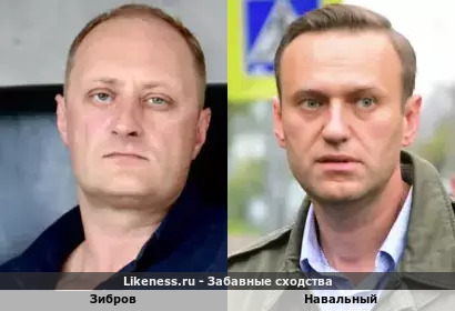 Зибров и Навальный