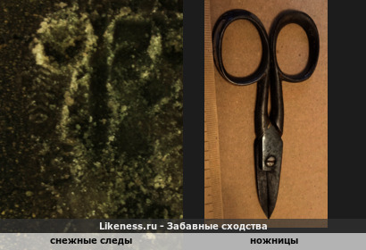 Гнутые снежницы